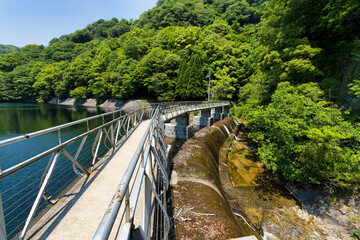 神戸　布引公園の景色　布引五本松堰堤　布引貯水池