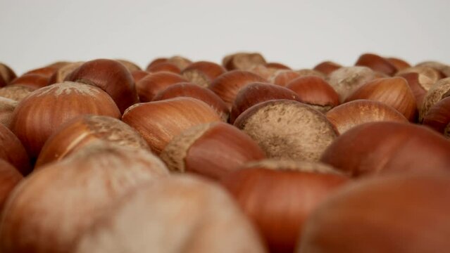 MACRO: Unpeeled hazelnuts on a white background, Dolly shot