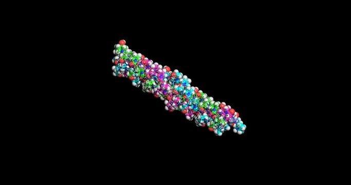 Collagen molecule, 3D spin, 4K