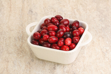 Ripe sweet tasty cranberry in the bowl