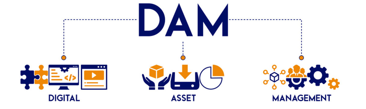 DAM Digital Asset Management Organization Concept Vector Illustration With The Icon Of Digital Assets Management