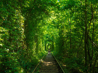 Scenic railway in the summer forest. Tunnel of love in Klevan, Ukraine. Railway surrounded by green...