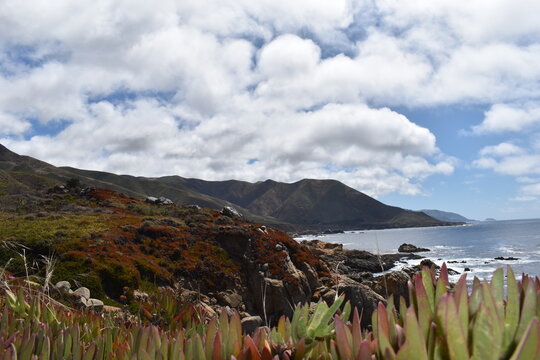 Beautiful Big SUR