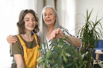 Senior grandmother with teenage granddaguhter caring about plants together at home.
