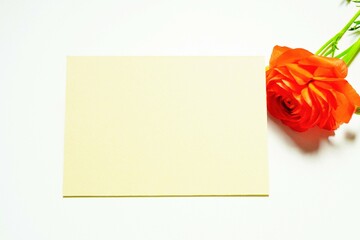 白背景にオレンジ色のラナンキュラスの花を一輪飾ったクリーム色のタイトル枠のモックアップ