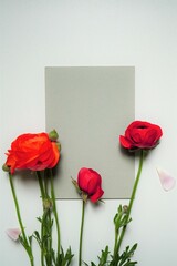 白背景に赤とオレンジのラナンキュラスの花と灰色のタイトルカードのモックアップ