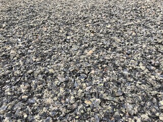 pebbles on the beach