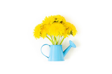 Bouquet of yellow dandelions flowers in blue watering can isolated on white background. Top view Creative Flat lay Minimal style