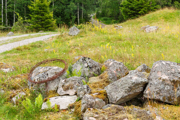 Meadow in a woodland with a roll of rusty barbed wire on a stone wall