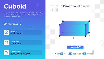 Fototapeta premium 2D representation and properties of Cuboid Vector Design 