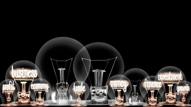 Light bulbs going from dark to light with Wealth Management, Business, Assets, Investment and Profit fiber text on black background. High quality 4k video.