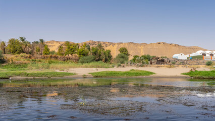 There is green vegetation on the river bank. Sand dunes against a clear blue sky. Water plants and duckweed are visible on the surface of the water. Egypt. Nile