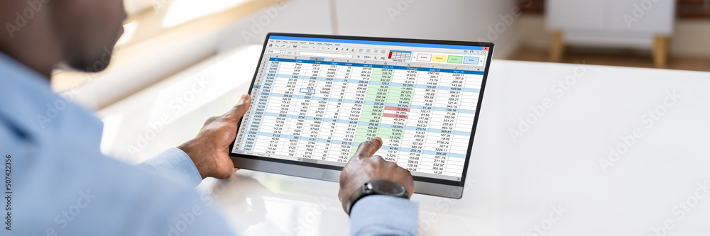 Poster Electronic Spreadsheet Analyst Or Auditor Using Software
