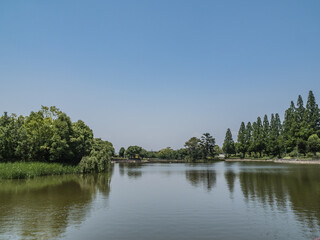 Obraz premium 晴れた日の公園の風景