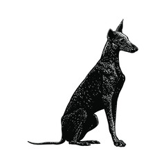 ibizan hound illustration isolated on background