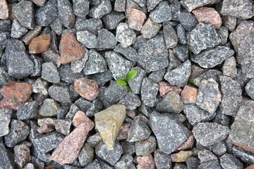 Gray and red crushed stone close-up.