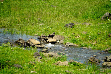 Naklejka na ściany i meble Little stream pouring along the green fields