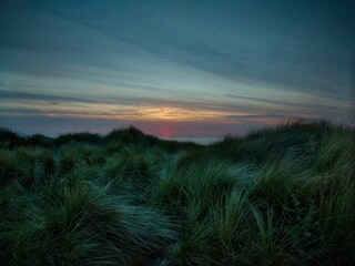 Blue hour in the dunes of Kijkduin, The Hague, Netherlands as the last sunlight sets below the horizon.
