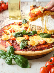 pizza with cheese and tomatoes