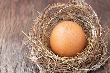 Fresh eggs from an organic farm. Chicken eggs in nests made of straw and hay, which are natural hens' nests, and in the morning light. Chicken eggs are a staple for cooking a variety of dishes.