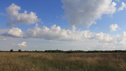 clouds over the field