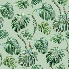 Naklejka na ściany i meble Seamless summer watercolor pattern with monstera leaves on a light green background