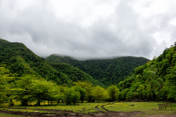 Valley in the mountain forest in rainy weather covered with low overcast clouds