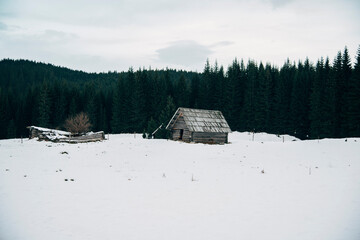 Tiny cabin in a winter forest on a gloomy day. 