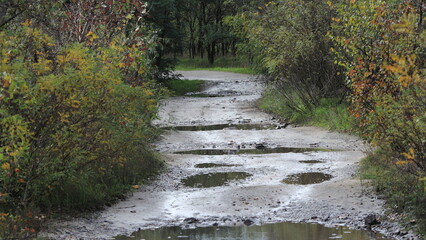 waterfall in the park