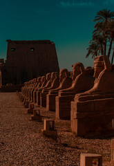 Avenue of Sphinxes from Luxor Temple on the east bank of the nile in Luxor, Egypt	