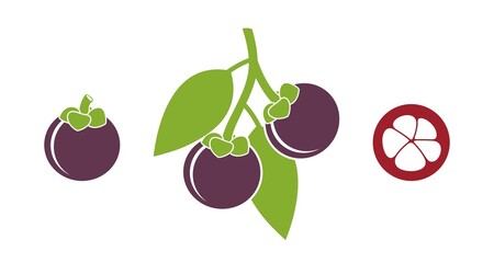 Mangosteen fruit logo. Isolated  mangosteen fruit on white background
