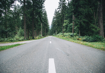 Dark gloomy forest road