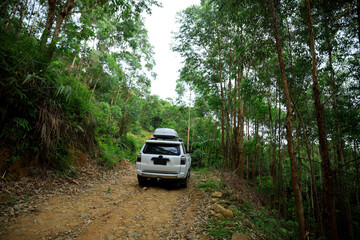 Plakat Driving off road car in tropical forest mountains
