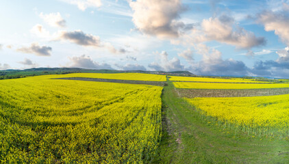 Meadows with a plant in a valley with fields against the background of the daytime sky in Bulgaria