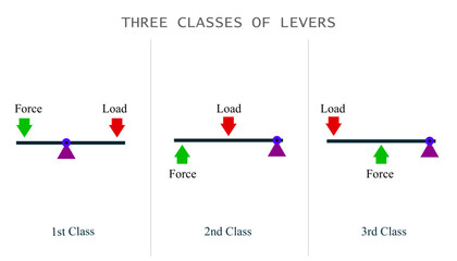 The three classes of lever systems - obrazy, fototapety, plakaty