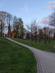 green hill and country road in the park in spring