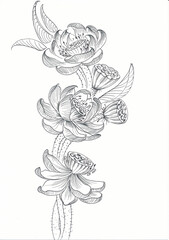 Original lineart ornate lotuses drawing - 507437593