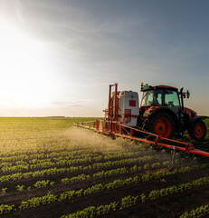 Fototapeta premium Tractor spraying soybean field at spring