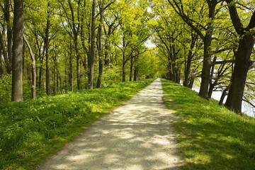 Naklejka premium Hiking track on the dam of pond Rozmberk,South Bohemian,Czech Republic,Europe,Central Europe 