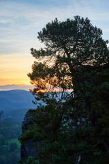 Fototapeta na wymiar Scenic landscape in Bastei rocks at sunrise, Germany