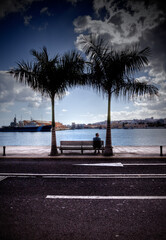 tourist sitting under palm trees enjoying the beautiful views of the pier in Las Palmas de Gran Canaria Spain - 507438132