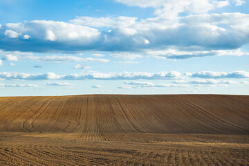 Fototapeta premium freshly plowed field during sunset evening cloudy blue sky lines