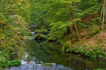 Wild gorge in Bohemian Switzerland in Czech Republic