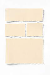 Fototapeta premium Ripped piece of paper isolated on white