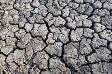 Arid land with cracks . Waterless soil surface