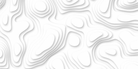 Abstract background vector pattern in illustration . Paper cut vector art background banner texture website template, 3D papercut layers, Abstract paper cut white background in illustration 