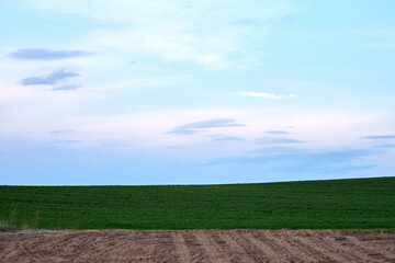spring sown field and sky at sunset