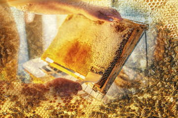 Work with a comb to print out a honeycomb.