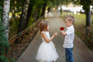 boy gives big red rose to girl. Romantic cute couple of children. Care and hugs, summer photo...