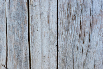 old wood background - Wood texture 